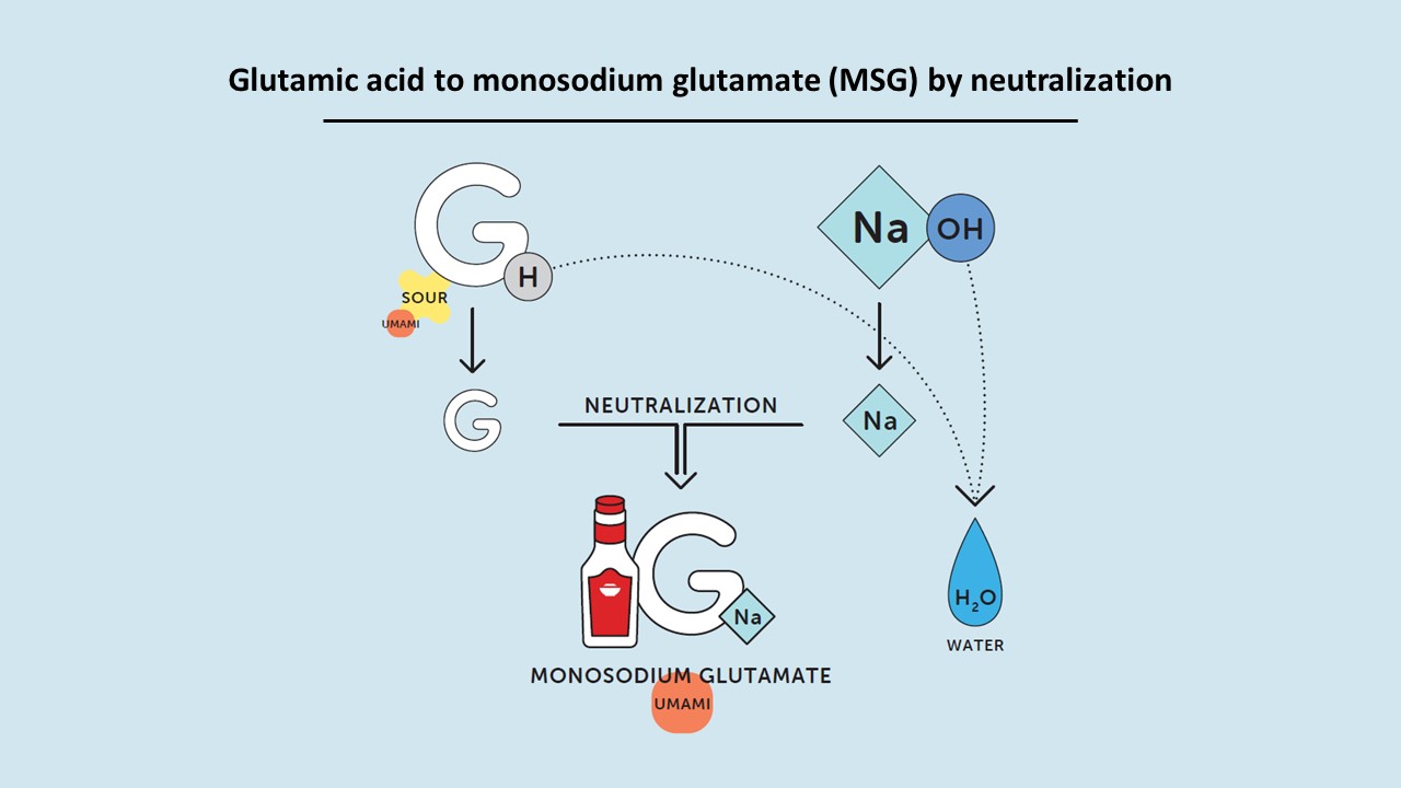Ácido glutámico a glutamina monosódica (GMS) por neutralización