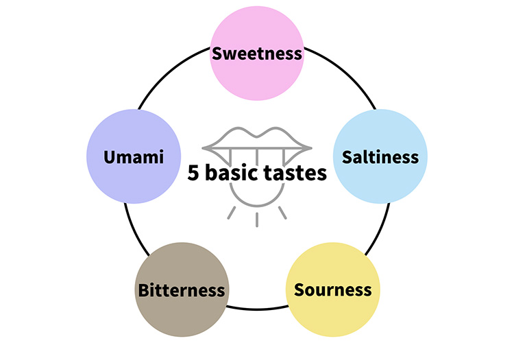 5 basic tastes　Sweetness　Saltiness　Sourness　Bitterness　Umami