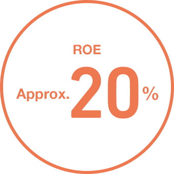 ROE aprox. 20%