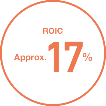 ROIC aprox. 17%