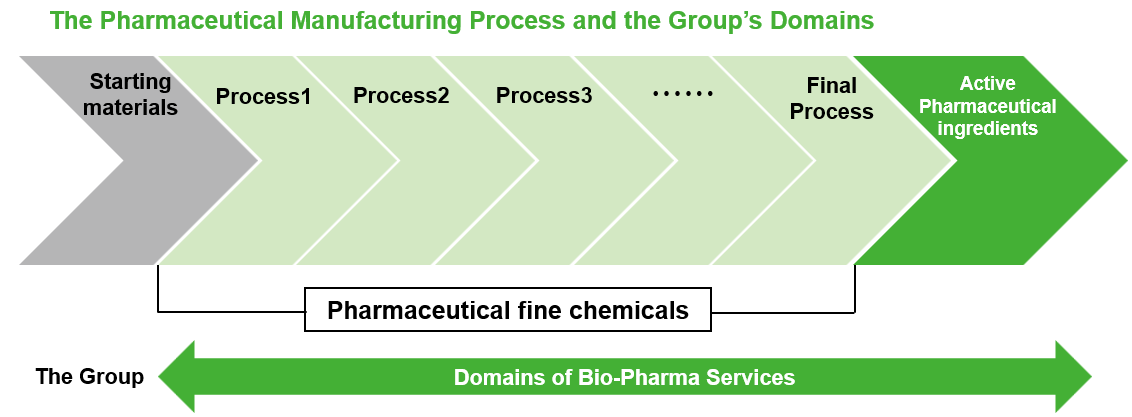 El proceso de fabricación farmacéutica y los dominios del grupo